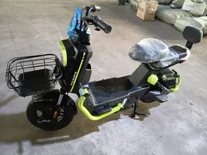 New CityCoco Comfort 2020 Green
