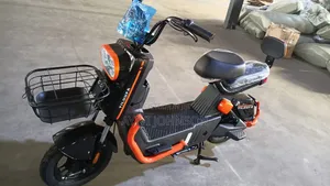 New CityCoco Comfort 2020 Green