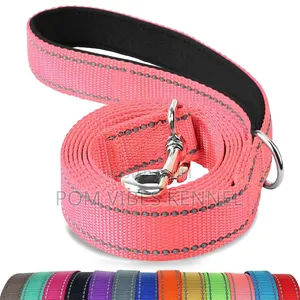 Bright Pink Reflective Dog Leash