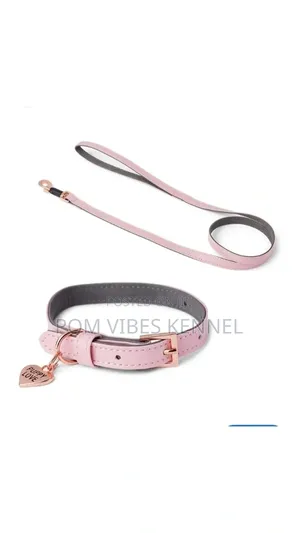 Just for Puppy Faux Leather Puppy Collar Lead Set Pink