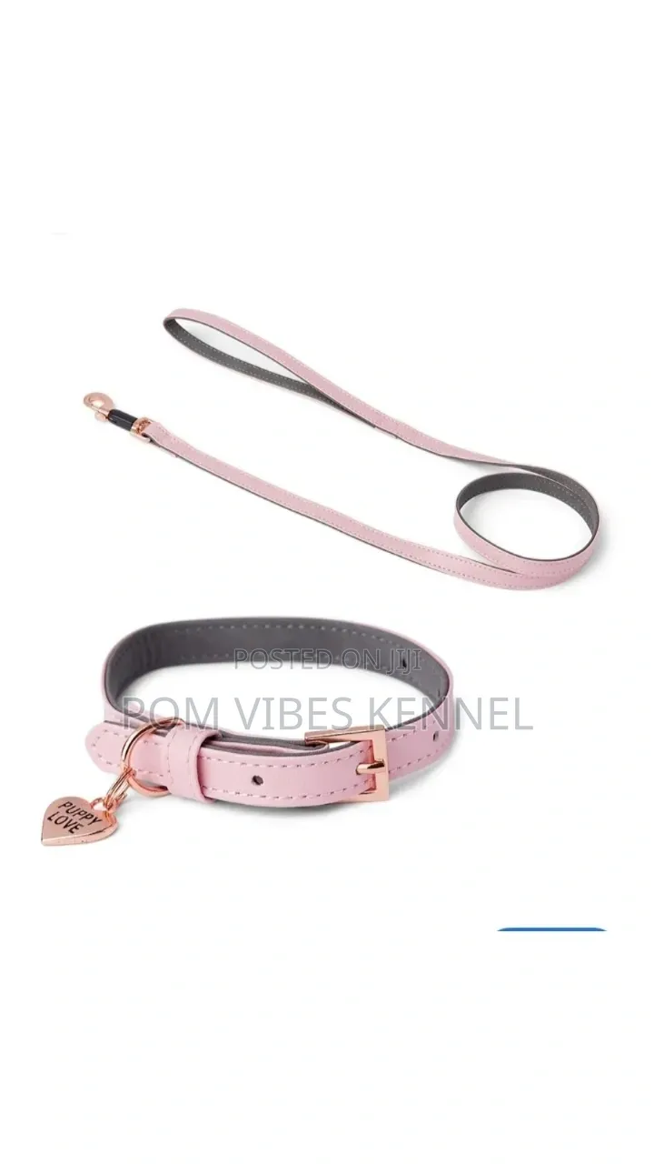 Just for Puppy Faux Leather Puppy Collar Lead Set Pink