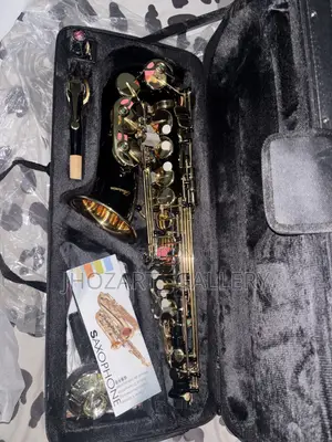 USA Mendini Black and Gold Alto Sax