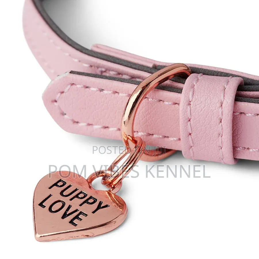 Just for Puppy Faux Leather Puppy Collar Lead Set Pink