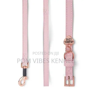 Just for Puppy Faux Leather Puppy Collar Lead Set Pink