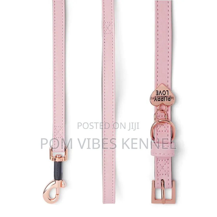 Just for Puppy Faux Leather Puppy Collar Lead Set Pink
