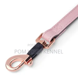 Just for Puppy Faux Leather Puppy Collar Lead Set Pink