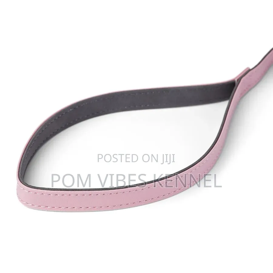 Just for Puppy Faux Leather Puppy Collar Lead Set Pink