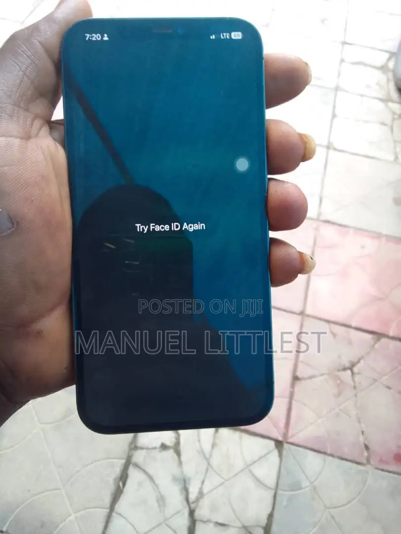 Apple iPhone 12 Pro Max 128 GB Gray