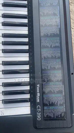 Casio CT-390 Tone Bank Electronic Digital Keyboard 61 Keys