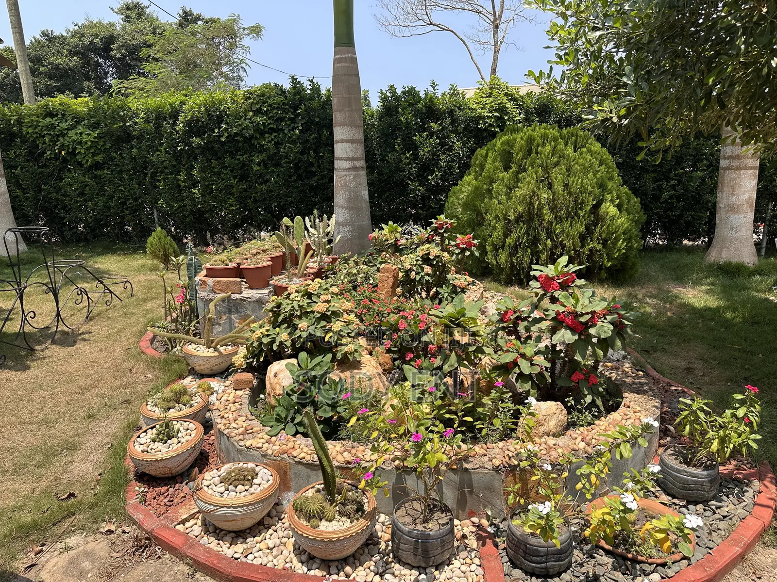 Indoor and Outdoor Flowers