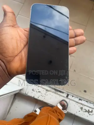 Apple iPhone 13 Pro Max 256 GB Graphite