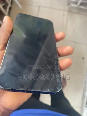 Apple iPhone 13 Pro Max 256 GB Graphite