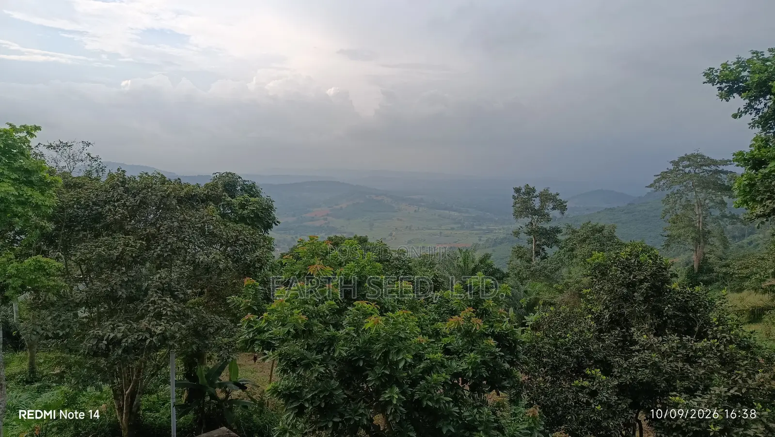 Registered Land in Aburi
