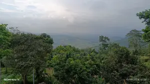 Registered Land in Aburi