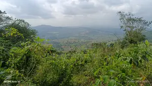 Registered Land in Aburi