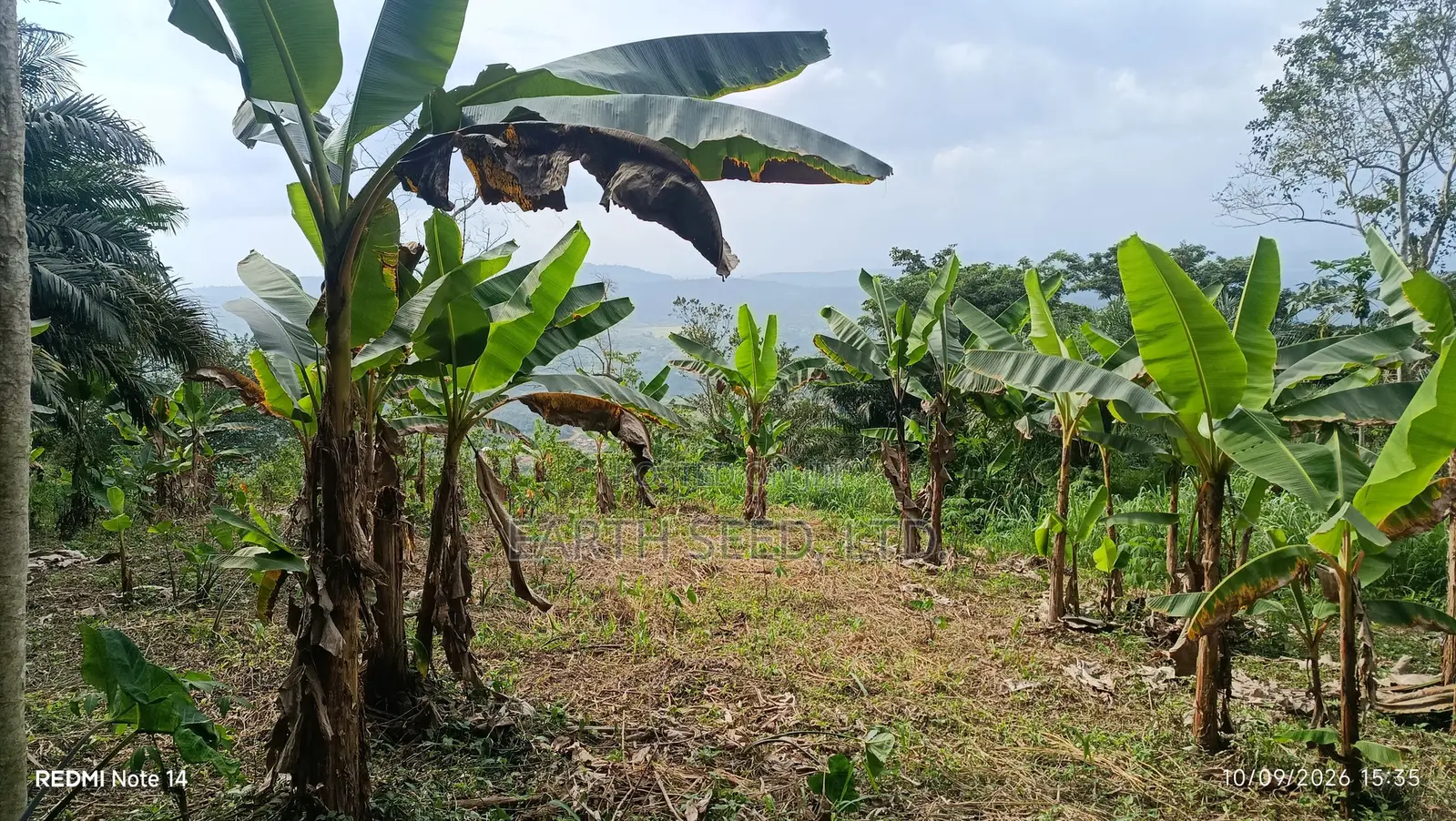 Registered Land in Aburi