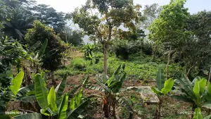 Registered Land in Aburi