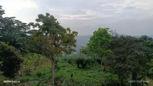 Registered Land in Aburi
