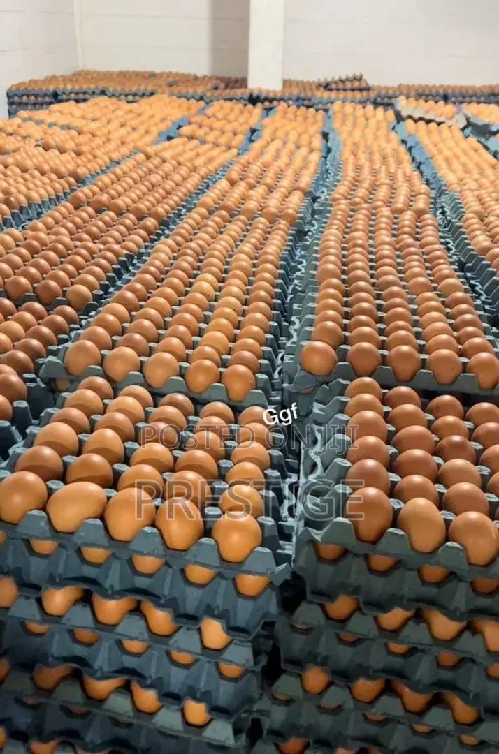 Prestige Poultry Eggs