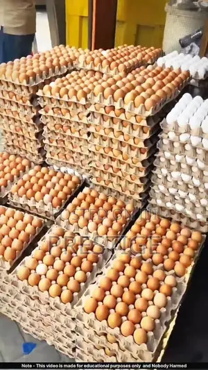 Prestige Poultry Eggs