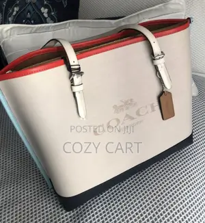 Coach Luxury Tote Bag