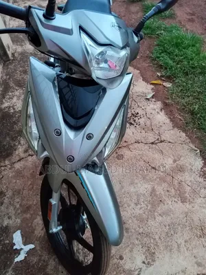 Apsonic AP110 2015 Silver
