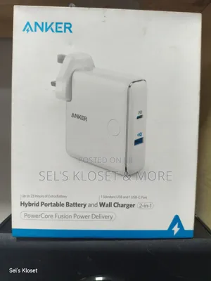 2-in-1 Hybrid Portable Battery Wall Charger