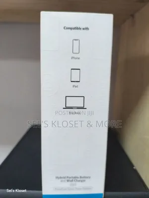 2-in-1 Hybrid Portable Battery Wall Charger