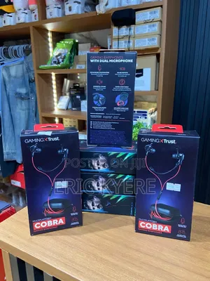 Gaming Earphones With Dual Microphone