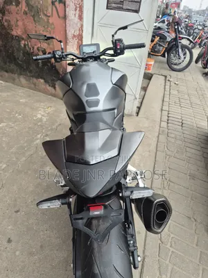 Honda Hornet 2024 Gray