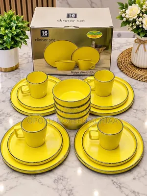 16 PCs Dinner Set