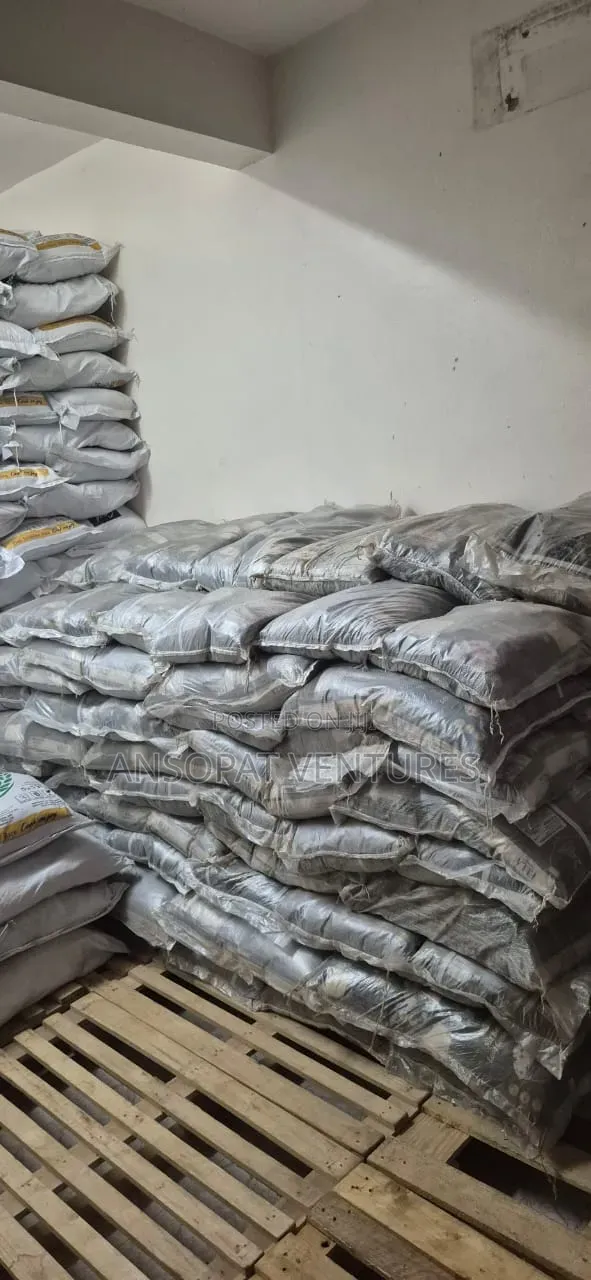 Uncle Sam Royal Umbrella Blasmati Rice Available in 25 Kg