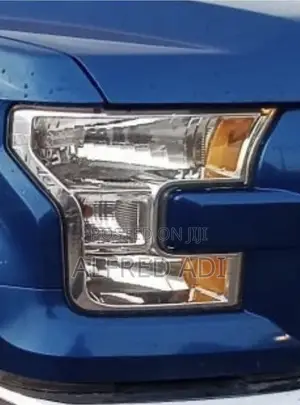 2016 Ford F150 Head Light