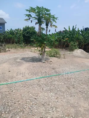 2 Plots of Land for Sale at Dome Pillar 2