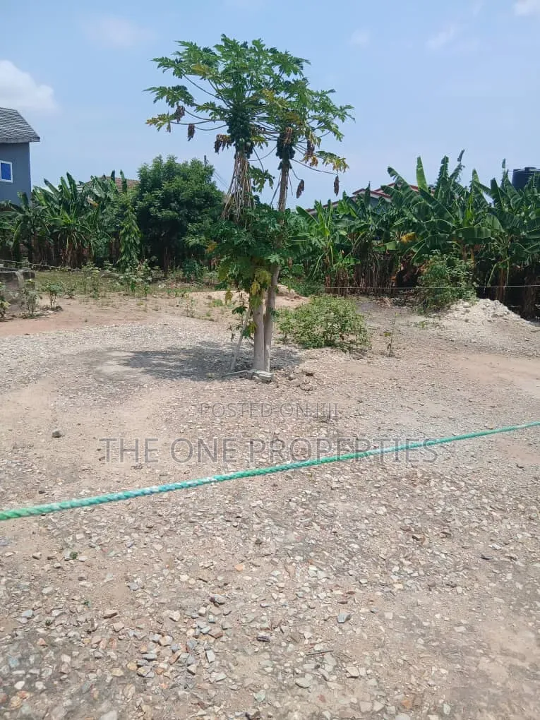 2 Plots of Land for Sale at Dome Pillar 2