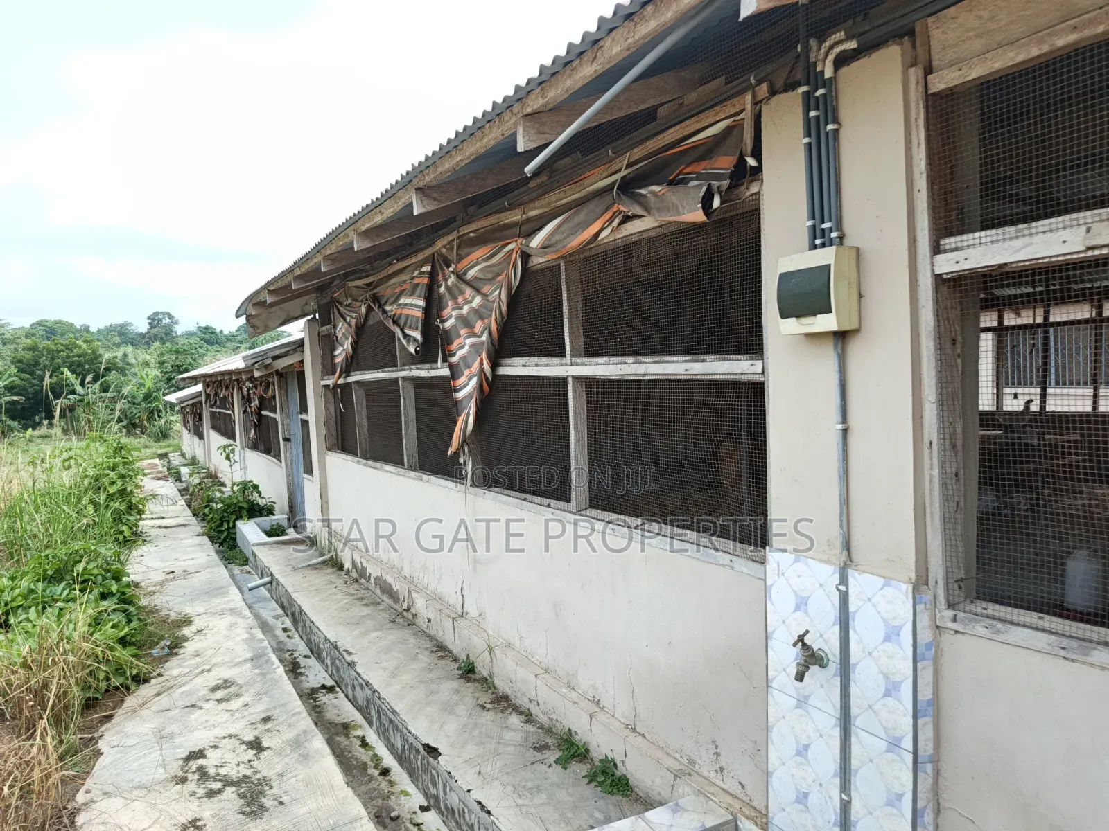 Poultry Farm Fish Farm for Sale