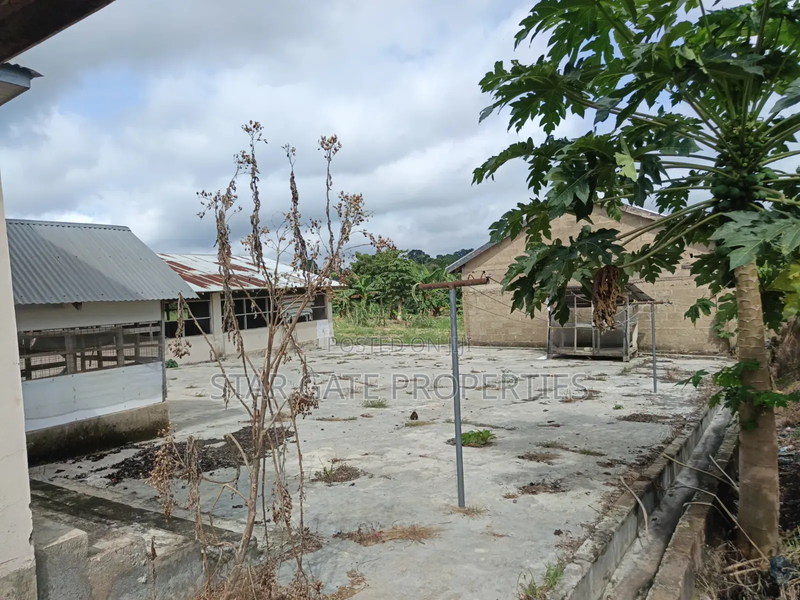 Poultry Farm Fish Farm for Sale