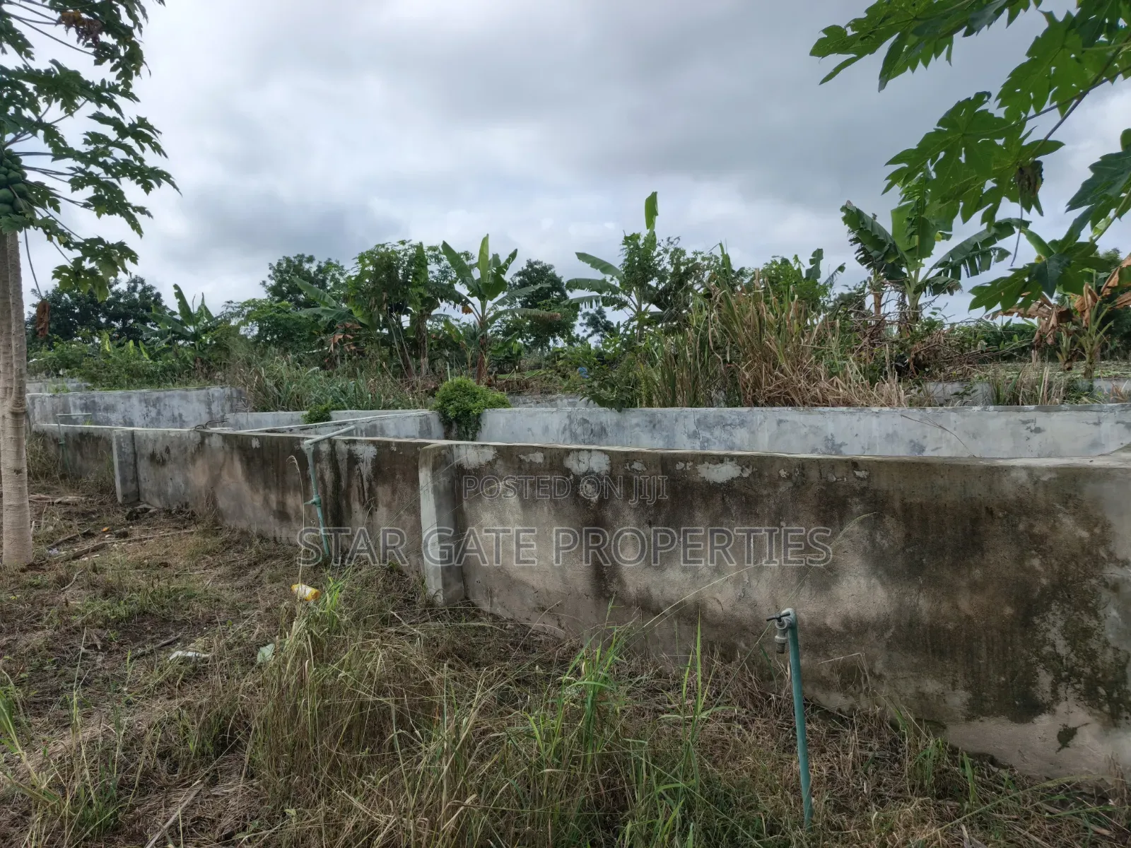 Poultry Farm Fish Farm for Sale