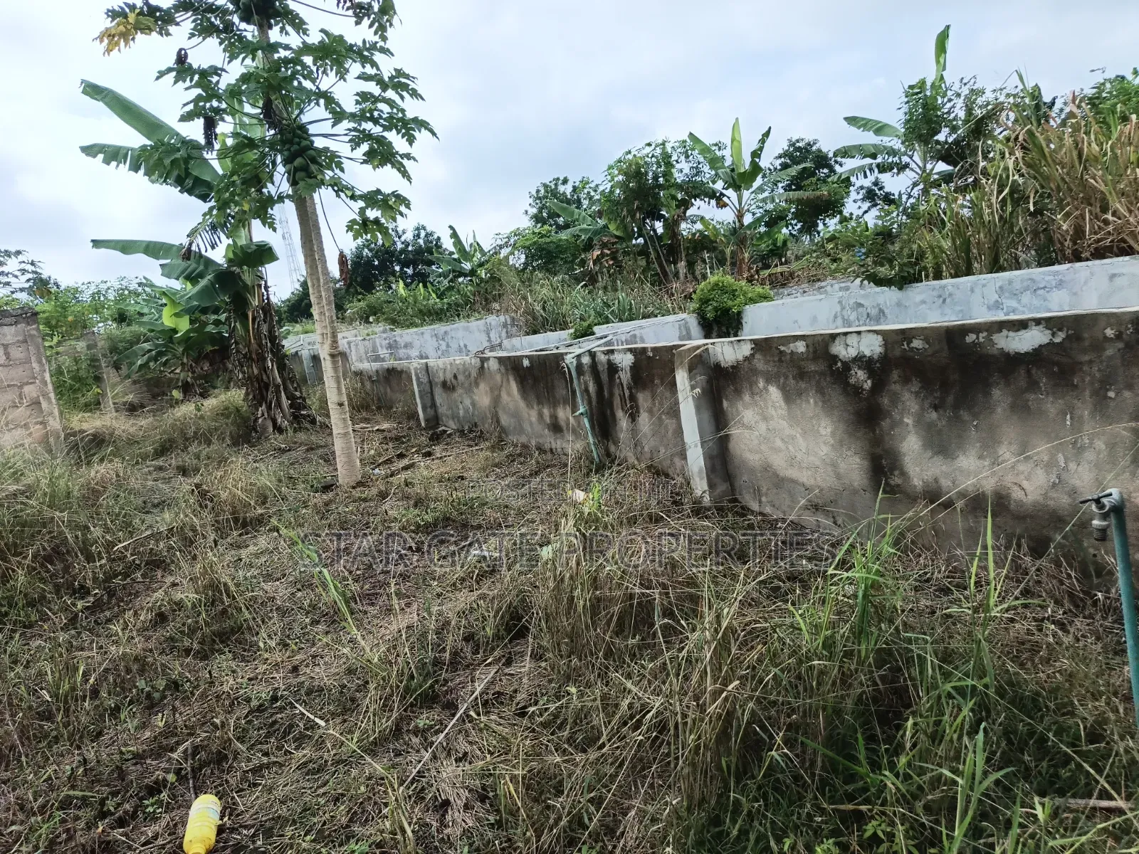 Poultry Farm Fish Farm for Sale
