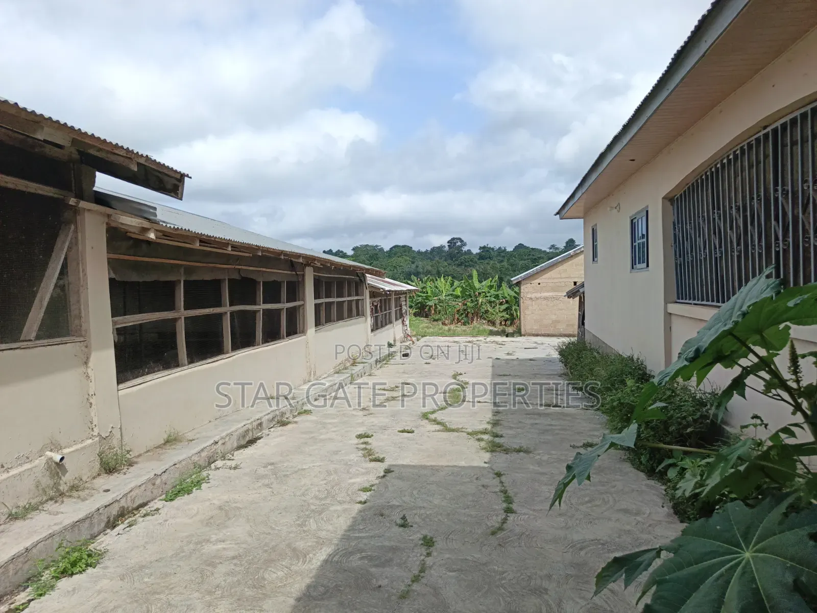 Poultry Farm Fish Farm for Sale