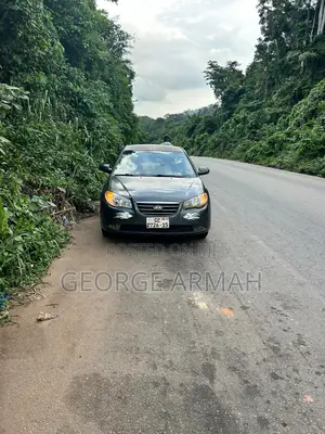 Hyundai Elantra 2010 Gray