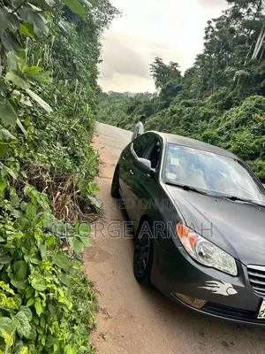 Hyundai Elantra 2010 Gray