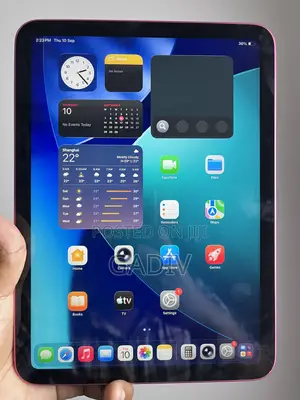 Apple iPad (2025) 256 GB Pink