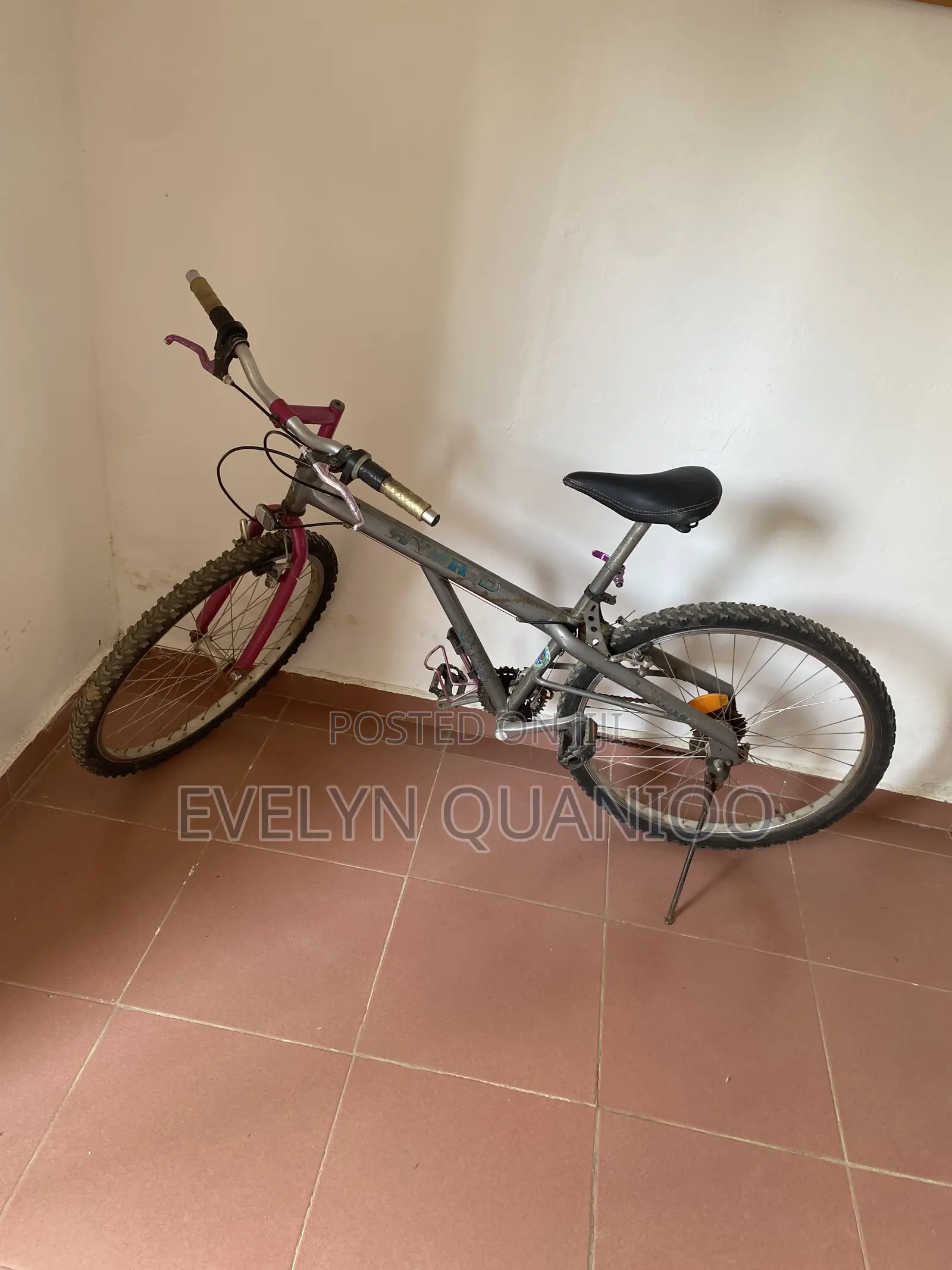 Bicycle Pink