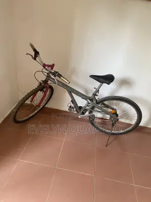 Bicycle Pink