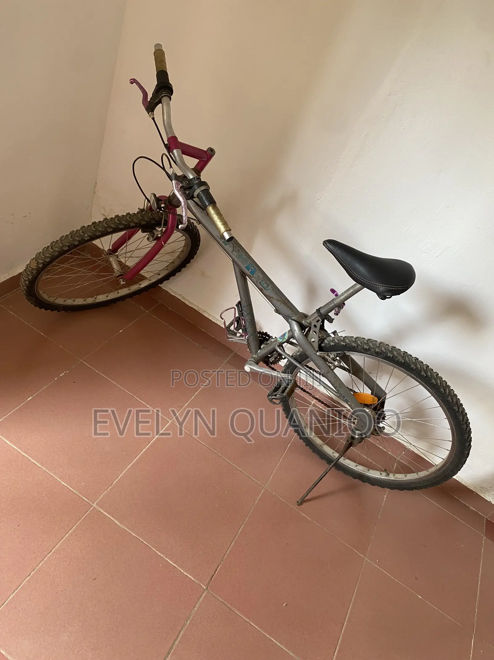 Bicycle Pink