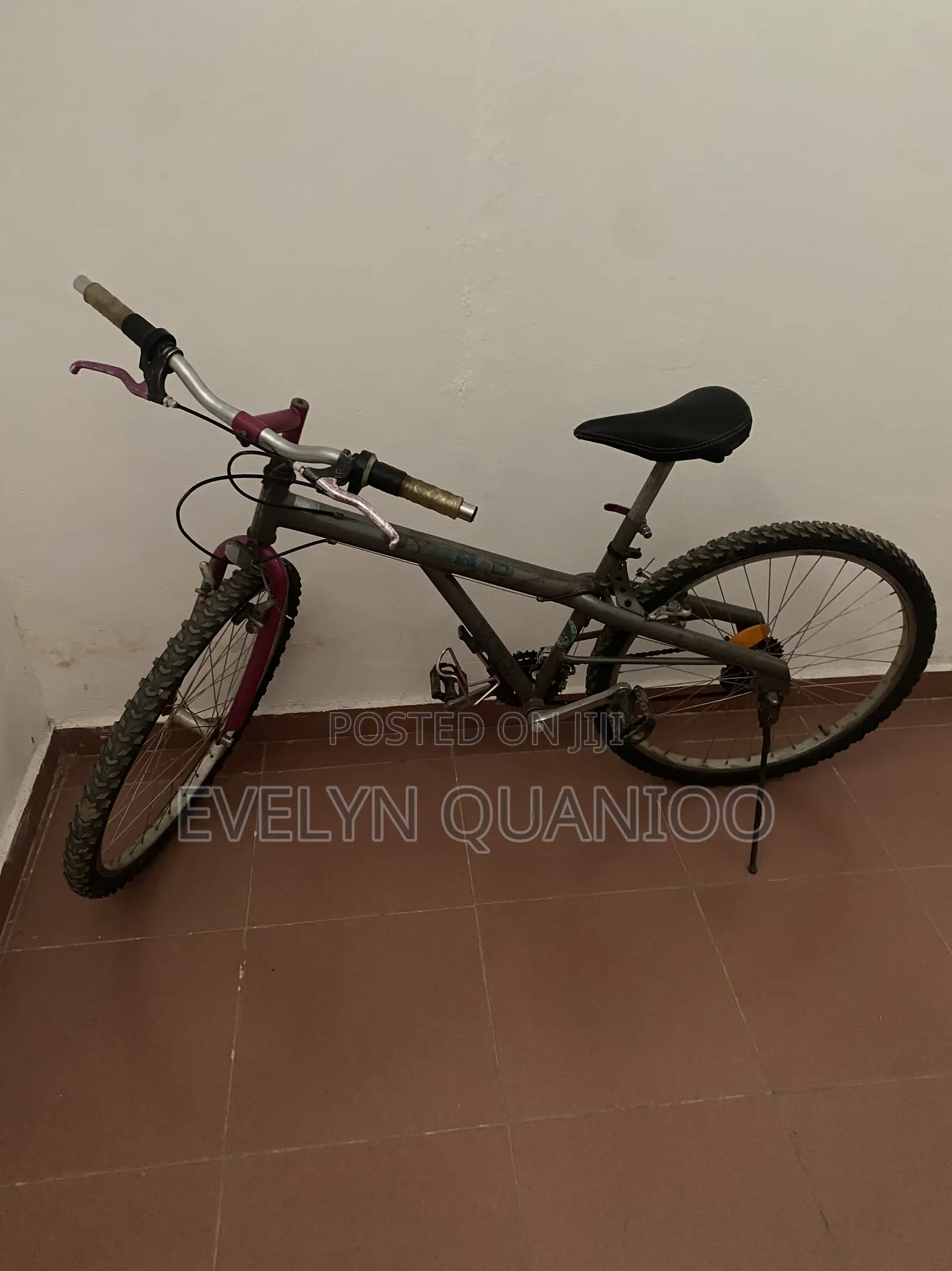 Bicycle Pink