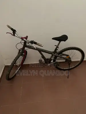 Bicycle Pink