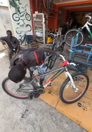 BMX Bicyle