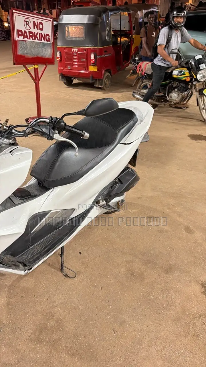 Honda 2023 White